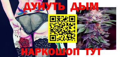 крисы Ставрополь