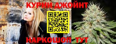 крисы Ставрополь